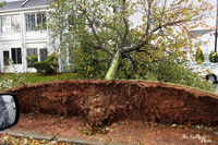 Hurricane Sandy