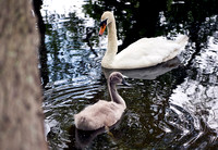 Momma & Her Baby